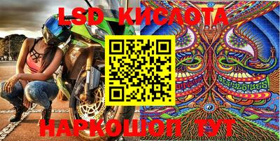 apvp Новодвинск