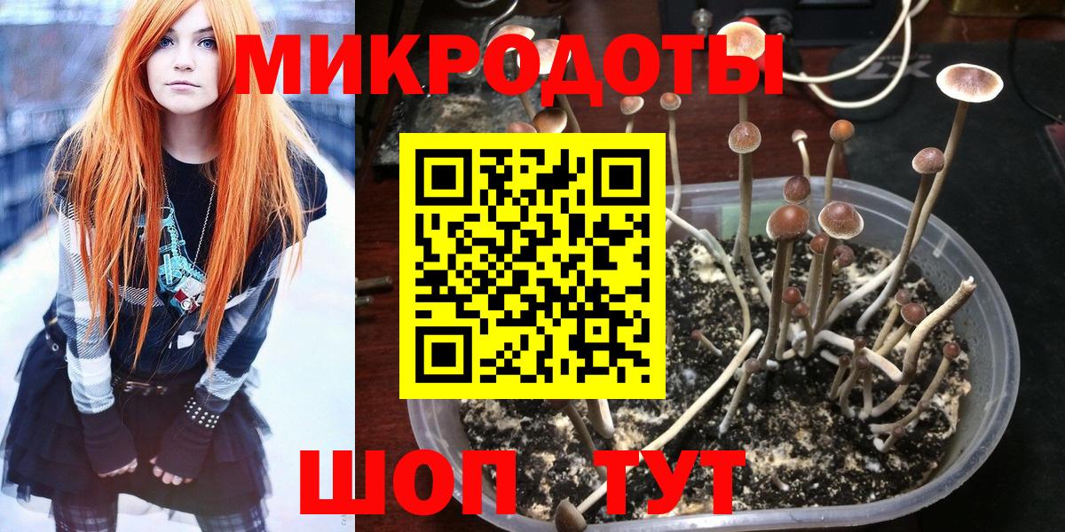 Псилоцибиновые грибы мухоморы  где продают   Урюпинск  Галлюциногенные грибы GOLDEN TEACHER  Вход с VPN 