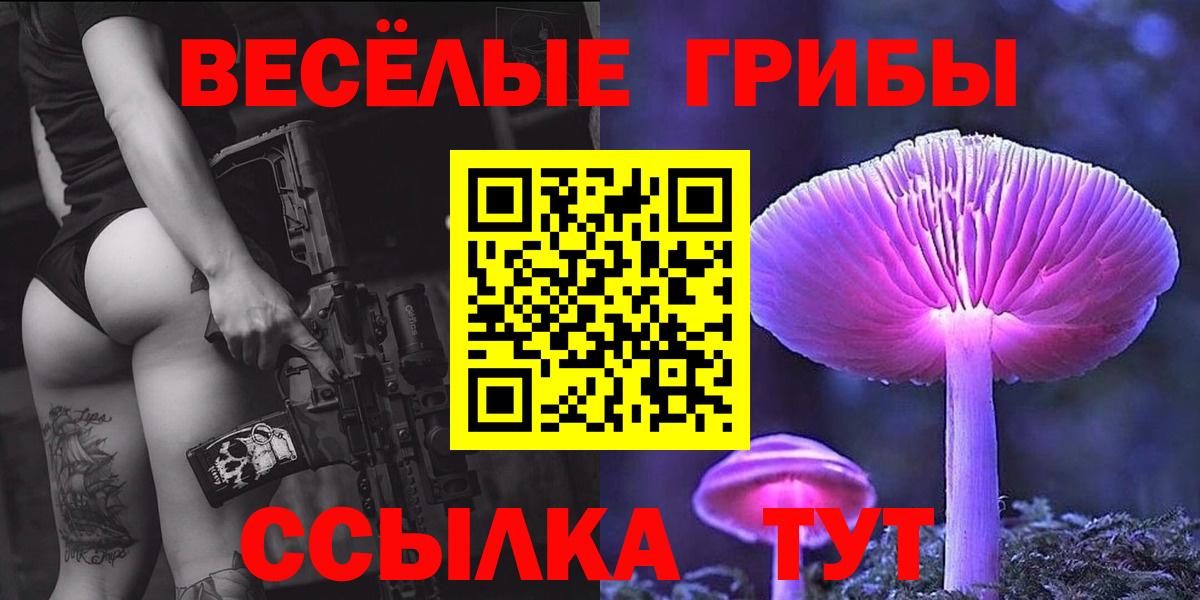 Псилоцибиновые грибы Psilocybine cubensis Урюпинск